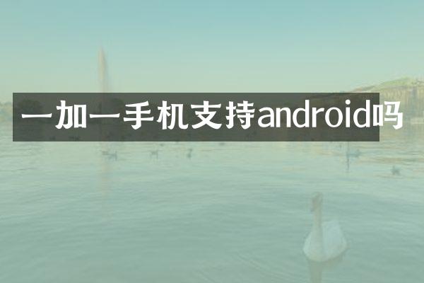 一加一手机支持android吗