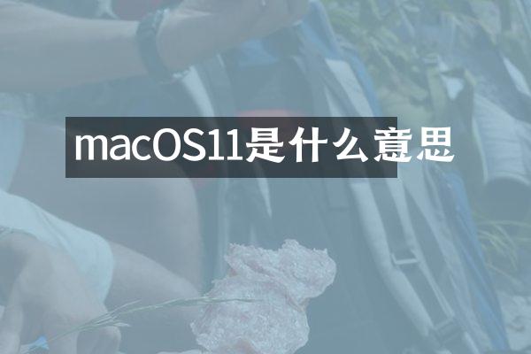 macOS11是什么意思
