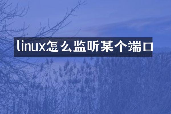 linux怎么某个端口