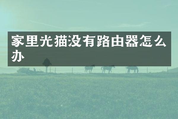 家里光猫没有路由器怎么办