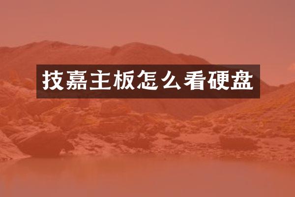 技嘉主板怎么看硬盘