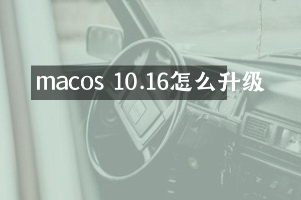 macos 10.16怎么升级