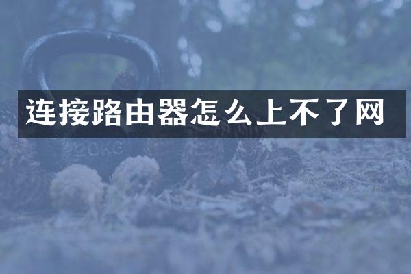 连接路由器怎么上不了网