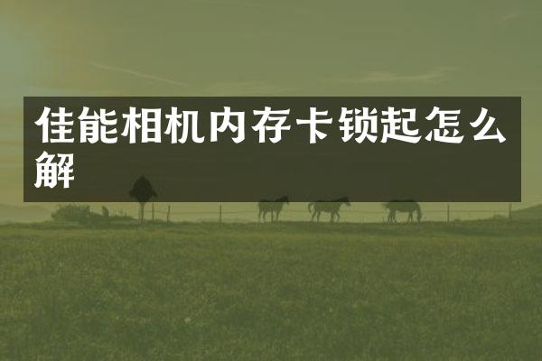 佳能相机内存卡锁起怎么解