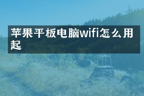 苹果平板电脑wifi怎么用不起