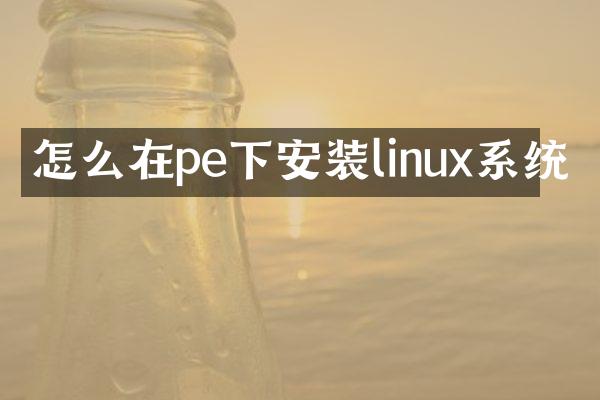 怎么在pe下安装linux系统
