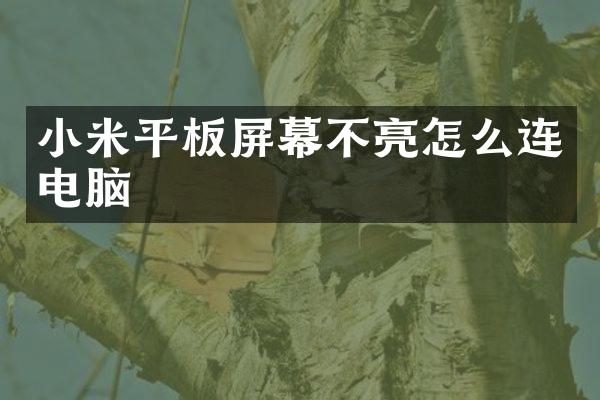 小米平板屏幕不亮怎么连电脑