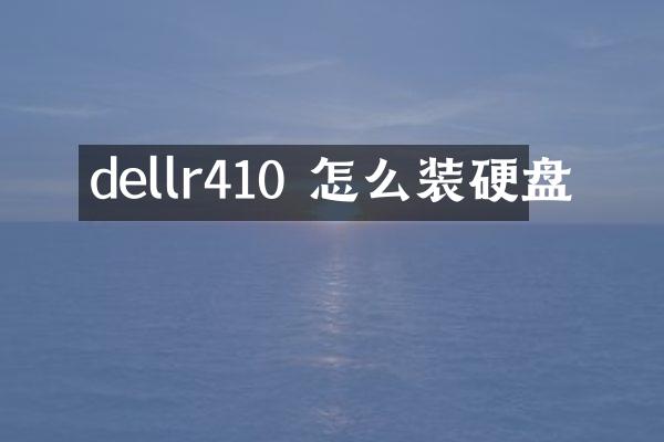 dellr410 怎么装硬盘