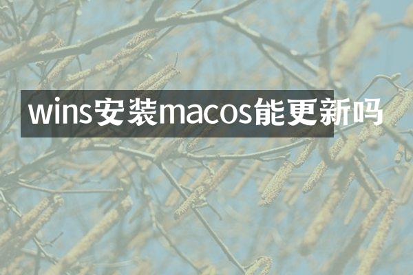 wins安装macos能更新吗