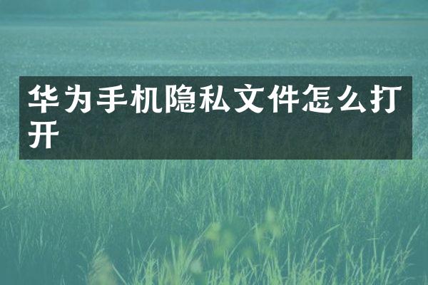 华为手机隐私文件怎么打开