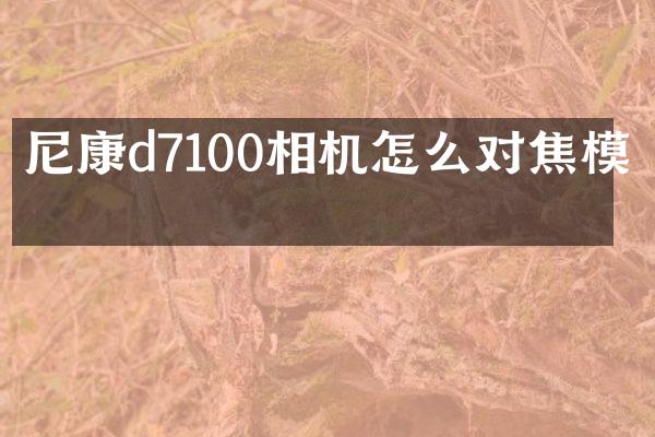 尼康d7100相机怎么对焦模式