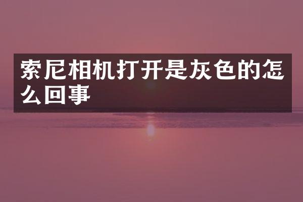 相机打开是灰色的怎么回事