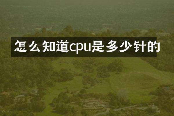 怎么知道cpu是多少针的