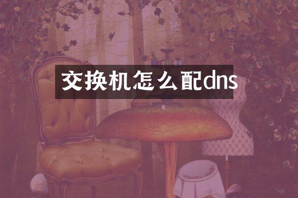交换机怎么配dns