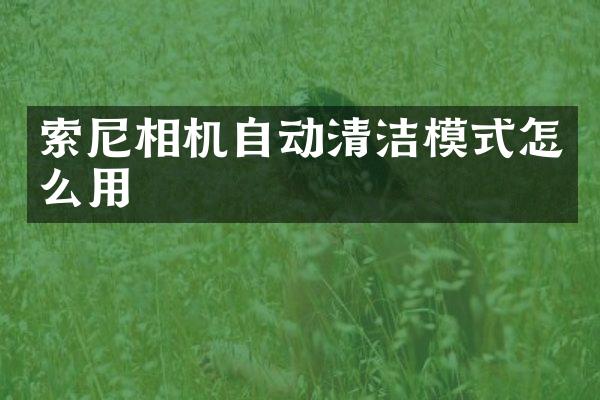 相机自动清洁模式怎么用