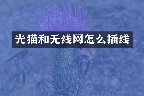 光猫和无线网怎么插线