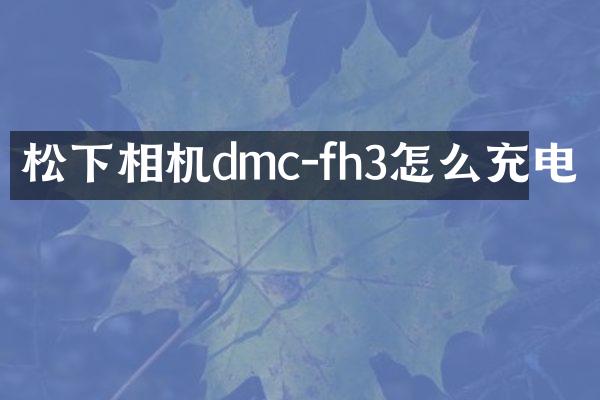 相机dmc-fh3怎么充电
