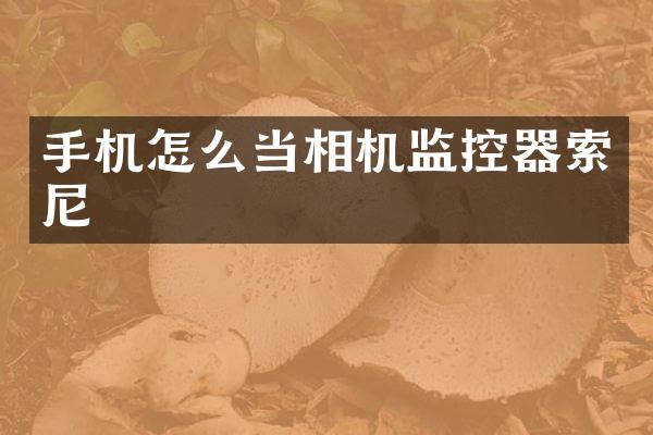 手机怎么当相机监控器