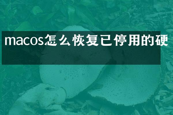 macos怎么恢复已停用的硬盘