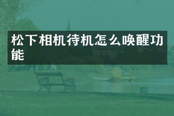 相机待机怎么唤醒功能