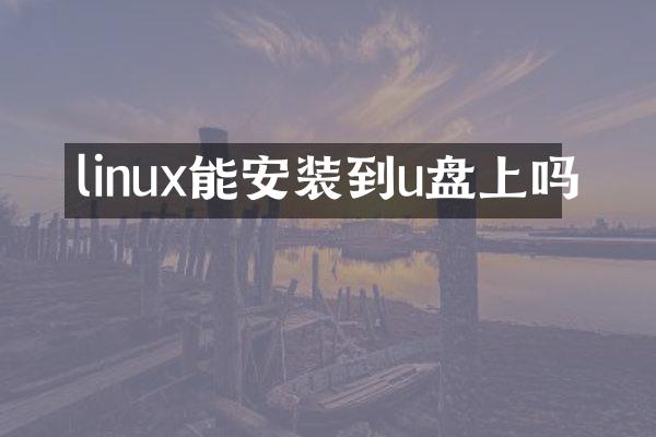 linux能安装到u盘上吗