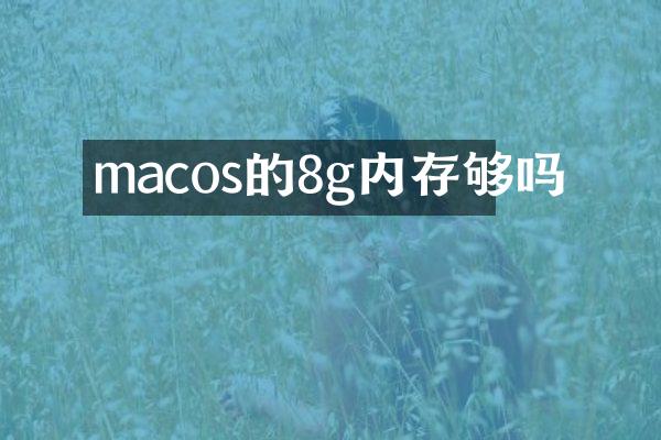 macos的8g内存够吗