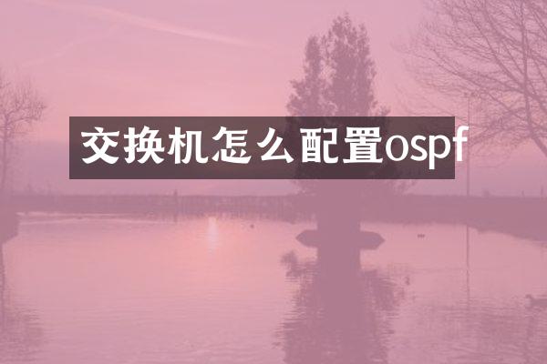 交换机怎么配置ospf