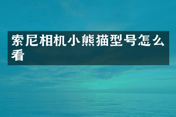 相机型号怎么看