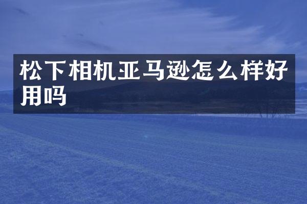 相机亚马逊怎么样好用吗