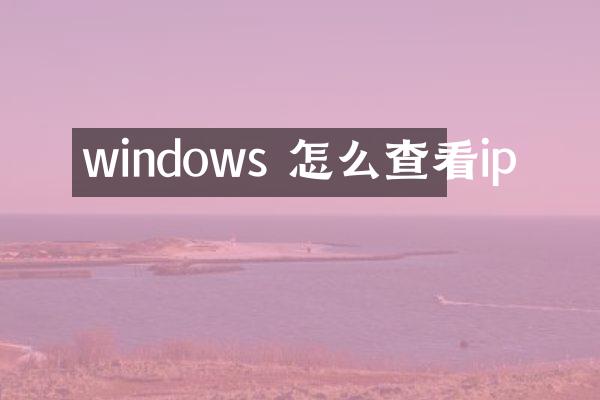 windows 怎么查看ip