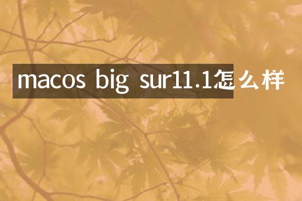 macos big sur11.1怎么样
