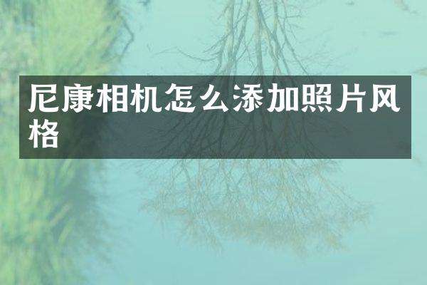 尼康相机怎么添加照片风格