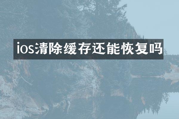 ios清除缓存还能恢复吗
