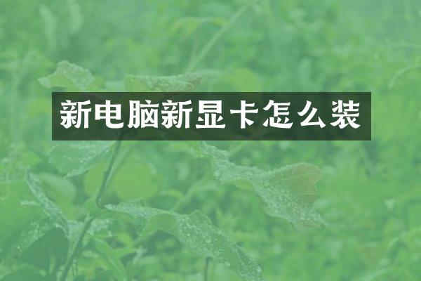新电脑新显卡怎么装