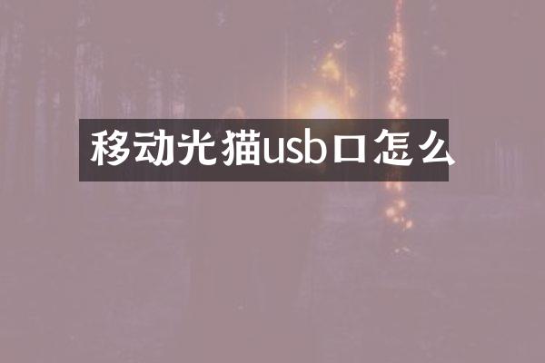 移动光猫usb口怎么