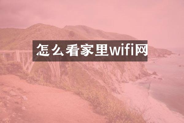 怎么看家里wifi网