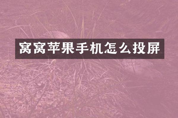 窝窝苹果手机怎么投屏