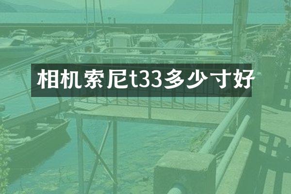 相机t33多少寸好