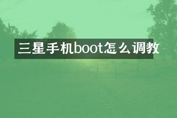 三星手机boot怎么