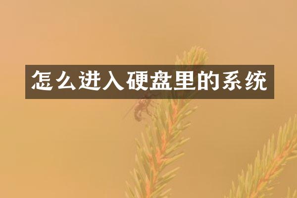 怎么进入硬盘里的系统