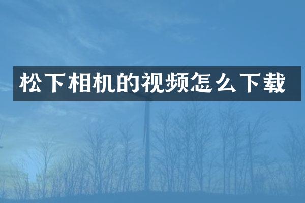 相机的视频怎么下载