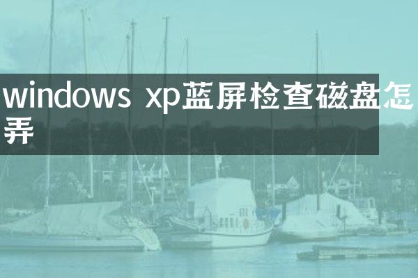 windows xp蓝屏检查磁盘怎么弄