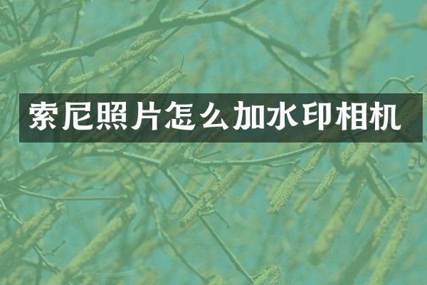 照片怎么加水印相机