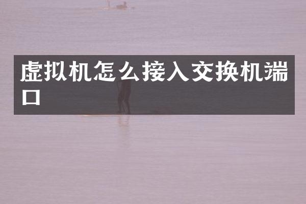 虚拟机怎么接入交换机端口