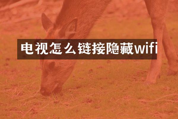 电视怎么链接隐藏wifi