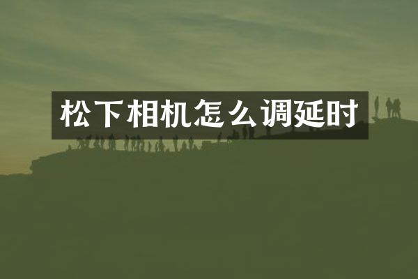 相机怎么调延时