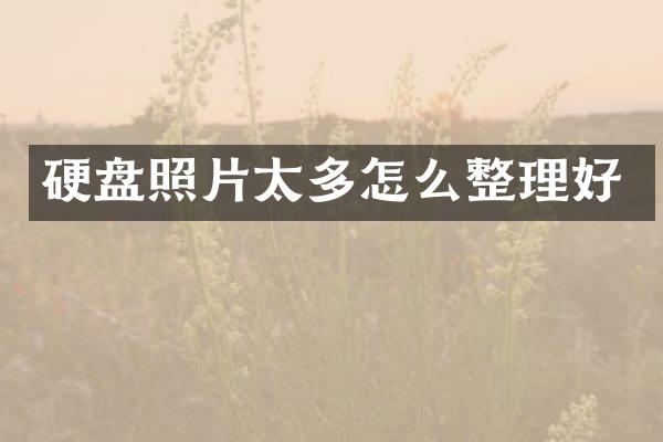 硬盘照片太多怎么整理好