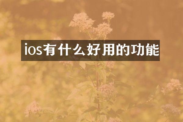 ios有什么好用的功能