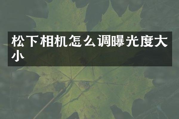 相机怎么调曝光度大小