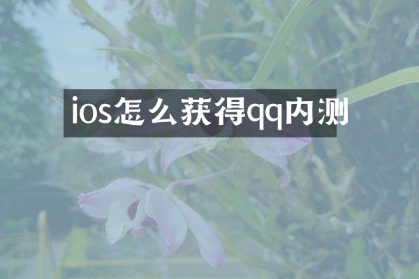 ios怎么获得qq内测